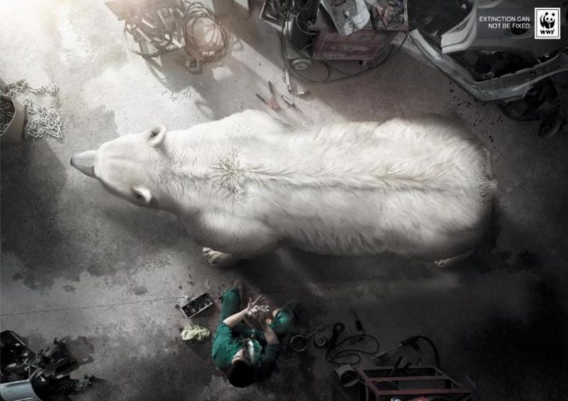 wwf-polar-bear-print-advertisement